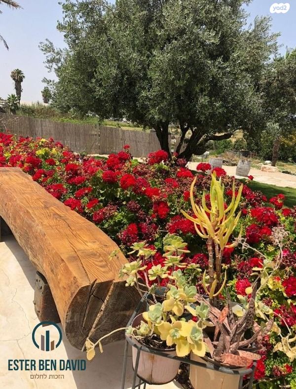 משק חקלאי/ נחלה, סגולה