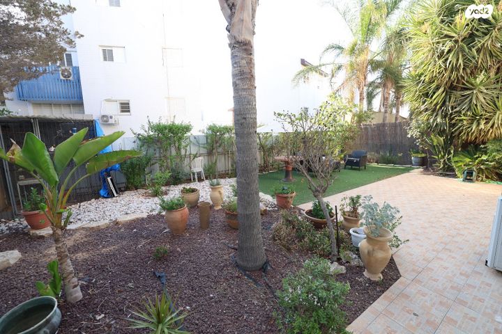 פרופ' חיים גבריהו 