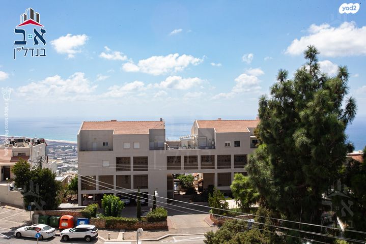 דירה, לאה, כרמליה, חיפה