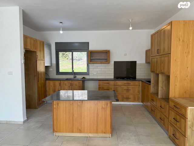 חורשת האקליפטוס 