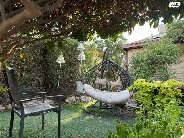 דוד אלרואי 8