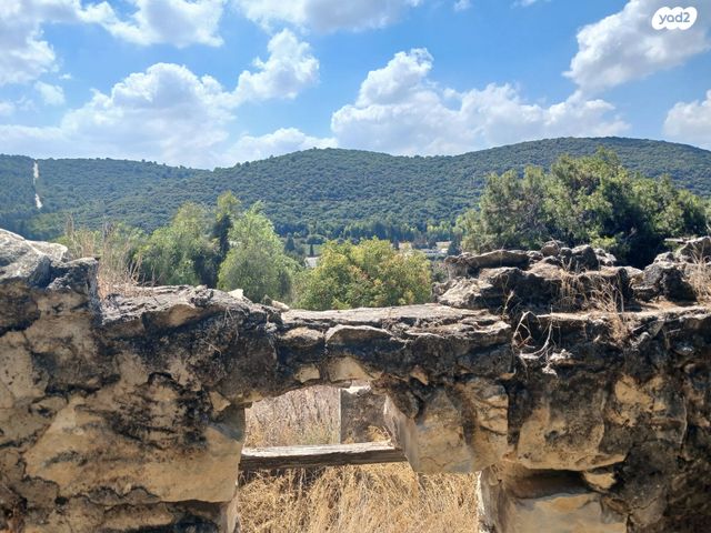 מגרשים, בת שלמה