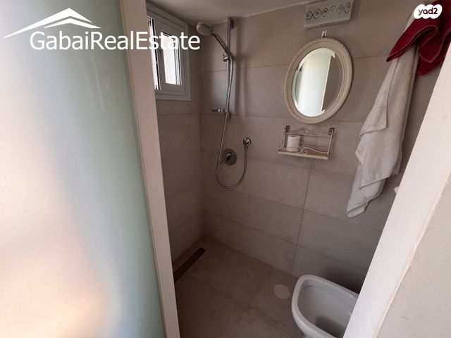 גג/ פנטהאוז, העמק 18, ראשונים, כפר סבא