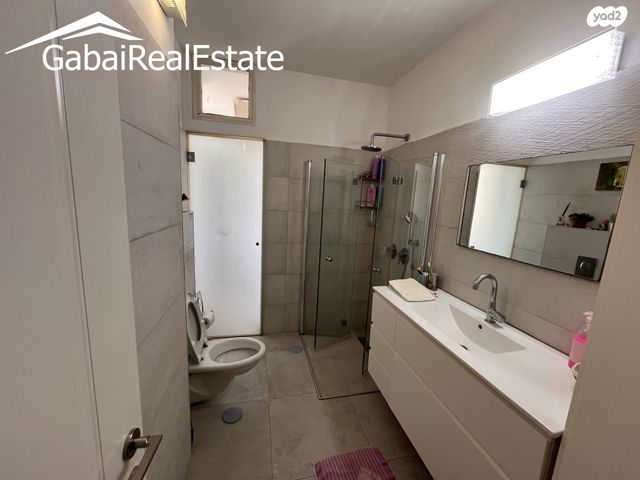 גג/ פנטהאוז, העמק 18, ראשונים, כפר סבא