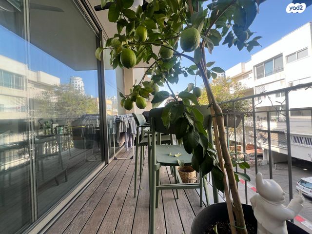 דירה, הצפון הישן - דרום, תל אביב יפו