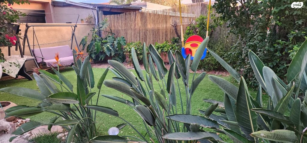 דו משפחתי, חיפה