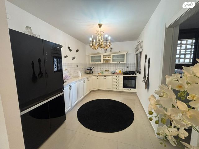 יצחק בן צבי 