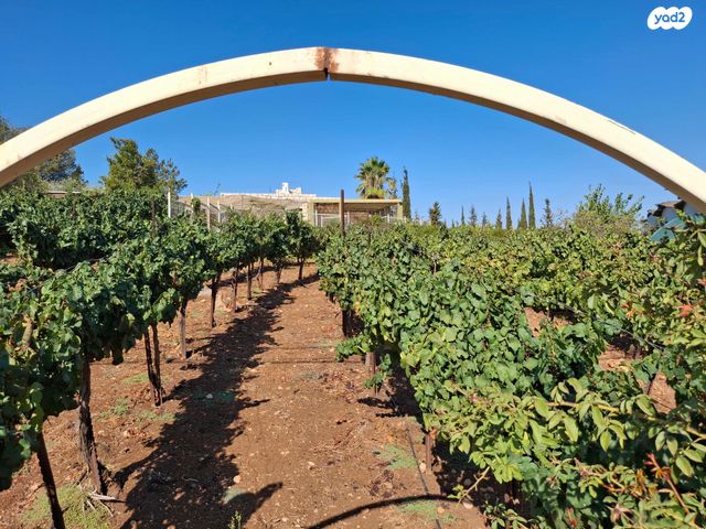 משק חקלאי/ נחלה, רמות נפתלי