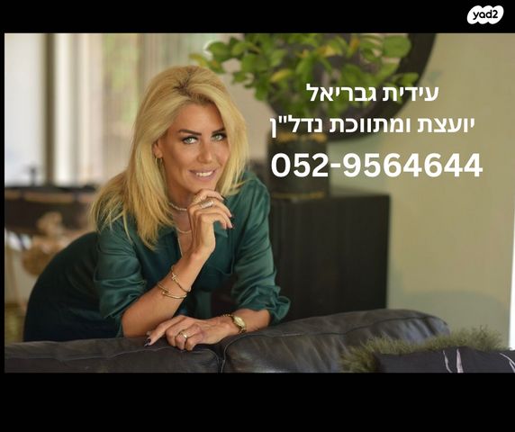 אלכסנדר זייד 