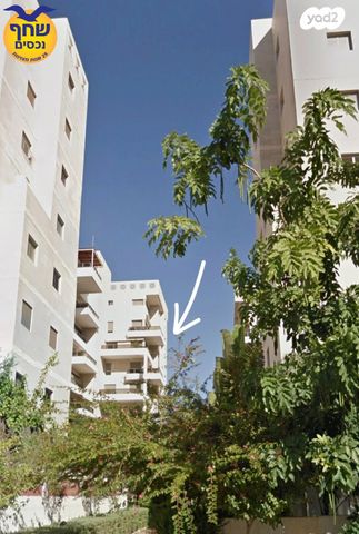 משה דוד מייזנר 