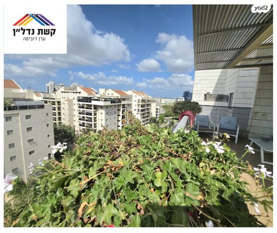 דופלקס, ג'ו עמר, הזמר העברי, כפר סבא