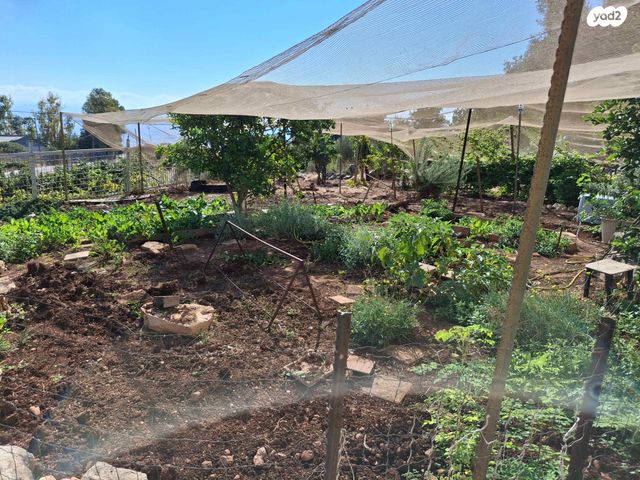 משק חקלאי/ נחלה, רמות נפתלי