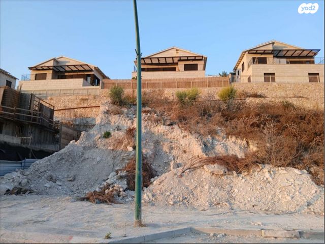 אמנון ותמר 1