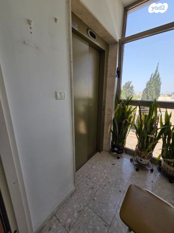 דירה, אלברט איינשטיין, אחוזה, חיפה