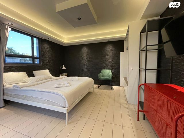 גג/ פנטהאוז, שיינקין 10, לב תל אביב, לב העיר צפון, תל אביב יפו