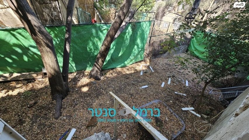 דירת גן, בר גיורא, הדר עליון, חיפה