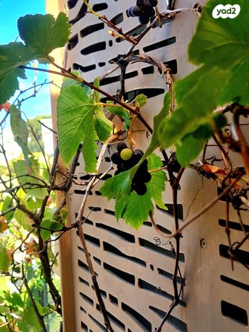 דירה, שדרות מוריה, אחוזה, חיפה