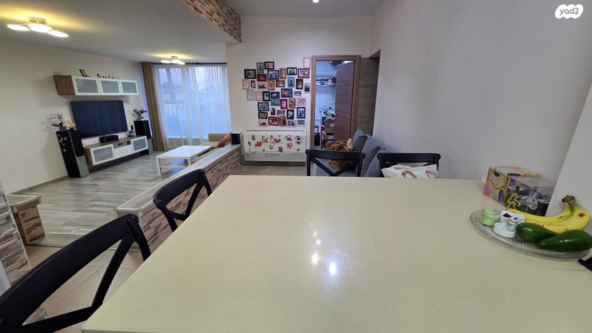 אהרון שקולניק 