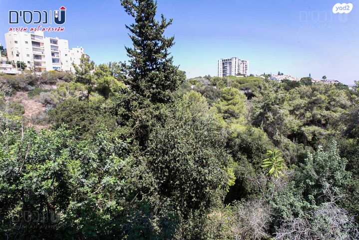 דירה, יוכבד, נעמ"ת, חיפה