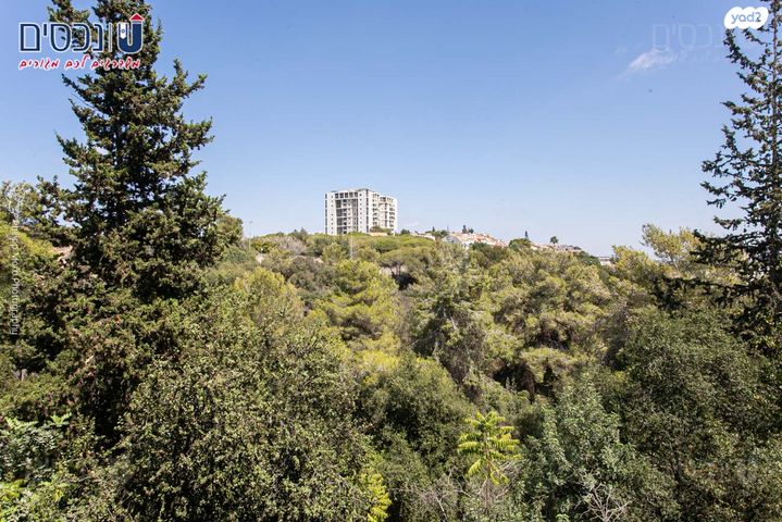 דירה, יוכבד, נעמ"ת, חיפה