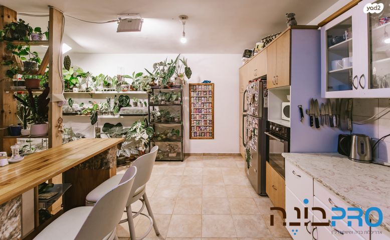 דירה, ד"ר מרטון, א' / צפון מזרח העיר, רחובות