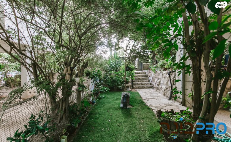 דירה, ד"ר מרטון, א' / צפון מזרח העיר, רחובות