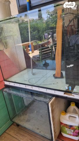 תמונת מודעה - חיות מחמד