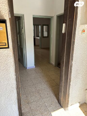 אליעזר הופיין 22