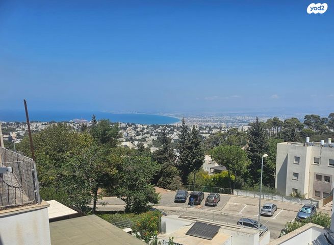 יגאל אלון 25