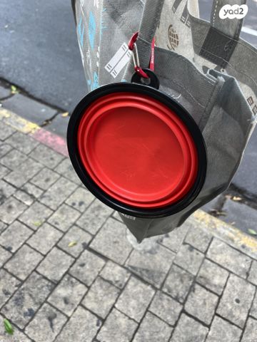 תמונת מודעה - חיות מחמד