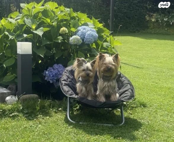 אביזרים | מיטה