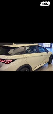 בי.ווי.די דולפין