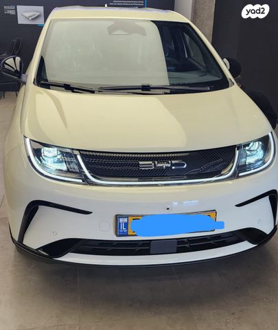 בי.ווי.די דולפין