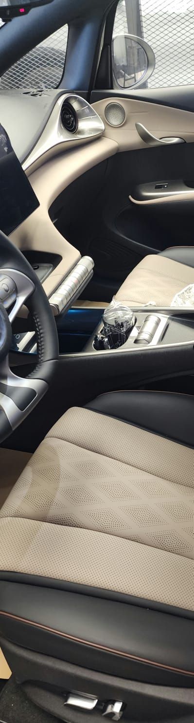 בי.ווי.די דולפין