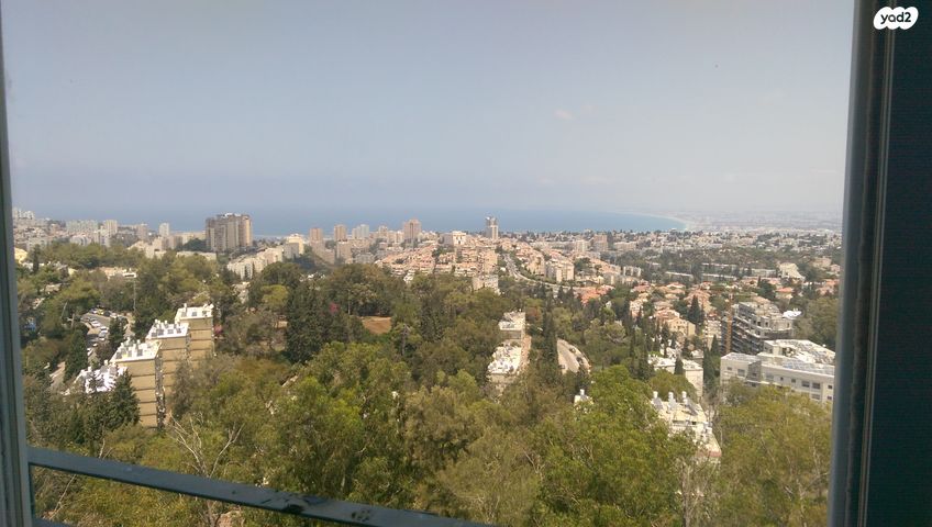 יהודה בורלא 24