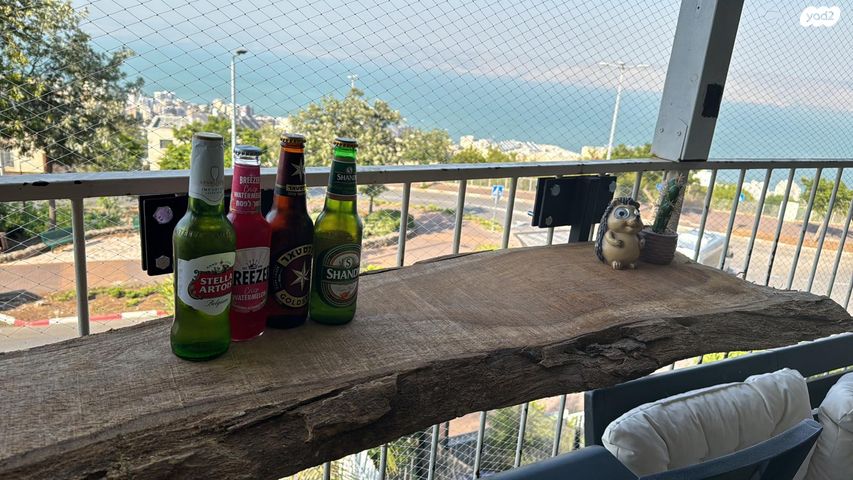 דופלקס, הנרקיס 4, נוף כינרת, טבריה