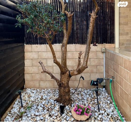 דירת גן, רובע הקריה, הסיטי, אשדוד