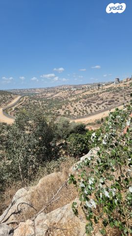 מגרשים, הארז 32, עץ אפרים, עץ אפרים