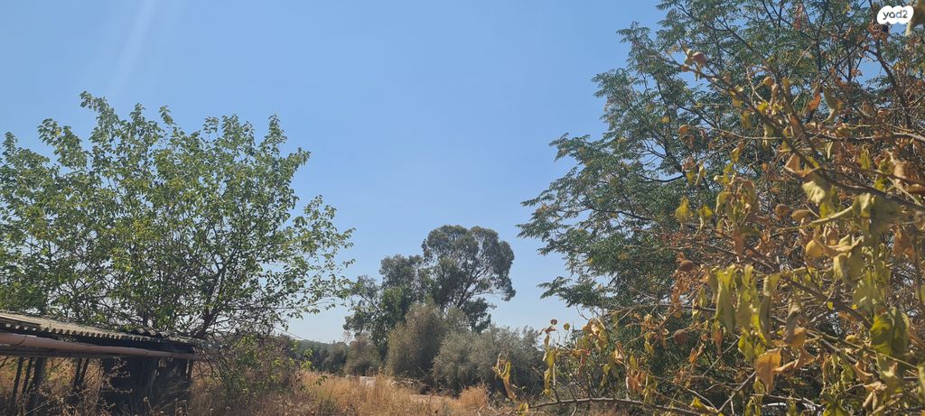 משק חקלאי/ נחלה