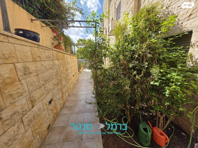 דירת גן, ורדיה, חיפה