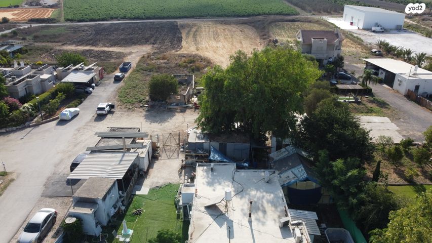 משק חקלאי/ נחלה, הפועל המזרחי, כפר חסידים א'