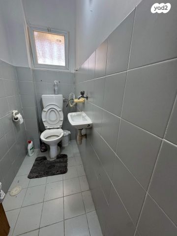 דירה, רמב"ם 6, כוכב הצפון, אשקלון