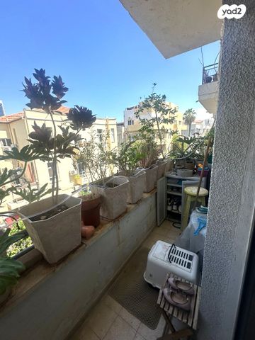 דירה, תל אביב יפו