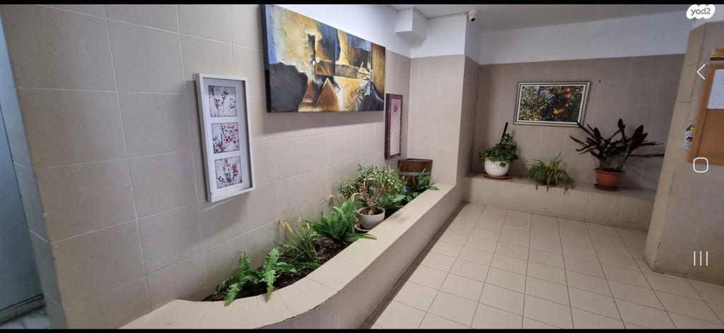 דירה, חלמיש, ערד