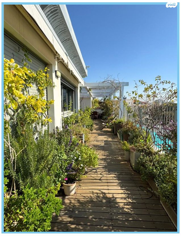 דופלקס, בית פלט, עג'מי, גבעת העליה, תל אביב יפו