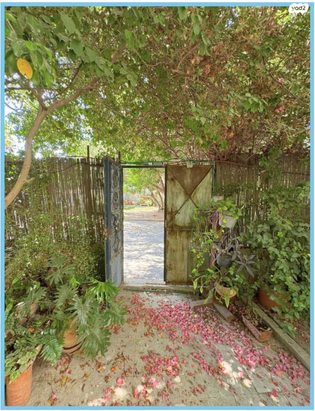 דירת גן, אדם ברוך, עג'מי, גבעת העליה, תל אביב יפו