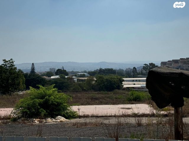 משק חקלאי/ נחלה, צופית