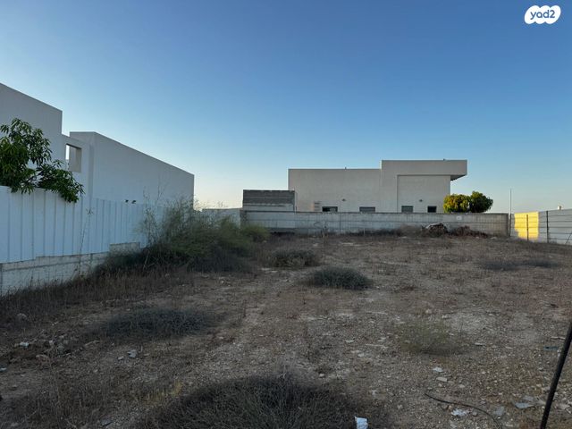 מגרשים, התמר, תאשור