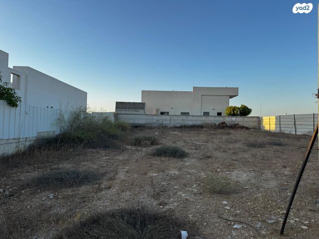 מגרשים, התמר, תאשור