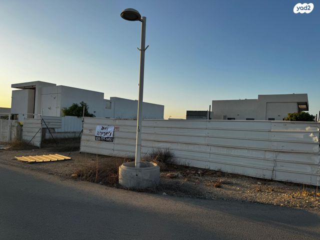 מגרשים, התמר, תאשור